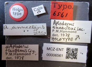 Media type: image;   Entomology 6561 Aspect: labels